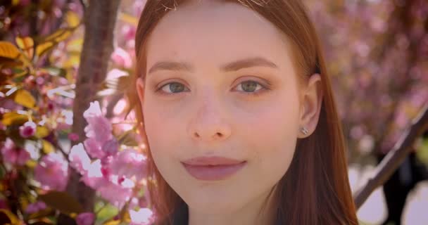 Close-up portrait of gorgeous ginger girl watching with calm smile into camera on pink floral park background. — Stock Video