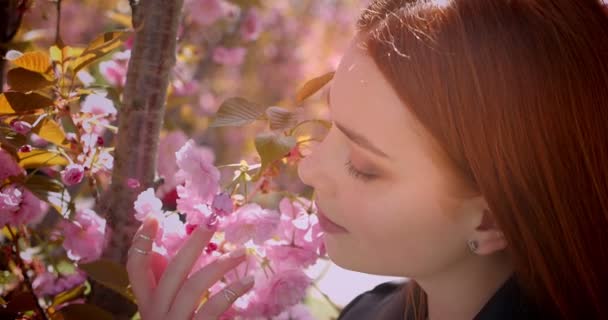 Közeli portréja csinos gyömbér lány megható gyengéden a rózsaszín virágok a parkban, és nézte mosolygós kamera.