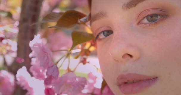 Close-up portret van mooie gember meisje kijken vredig in camera op roze bloemenpark achtergrond. — Stockvideo