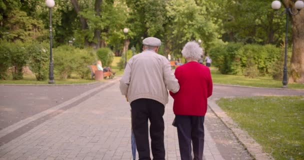 Bakre porträtt av två söta äldre pensionärer gå runt parken hålla händerna. — Stockvideo