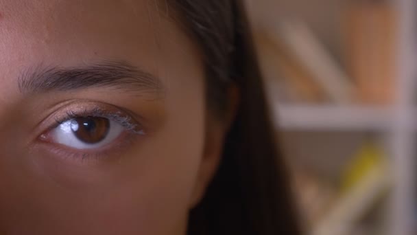 Nahaufnahme Halbgesicht Porträt der hübschen brünetten Lehrerin, die ruhig in die Kamera schaut und in der Bibliothek blinzelt. — Stockvideo