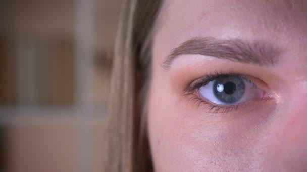 Primo piano mezzo volto di giovane bruna femminile con gli occhi che guardano la fotocamera e lampeggiano — Video Stock