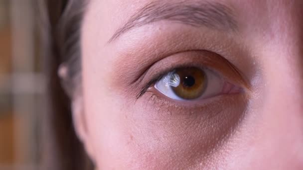 Close-up halve gezicht schieten van jonge vrouw met bruine ogen wordt gesloten openen en kijken naar camera — Stockvideo