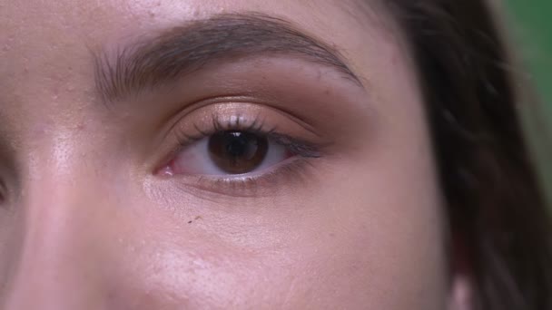 Primer plano media cara retrato de joven bastante caucásico hembra con ojos marrones y pelo morena mirando a la cámara — Vídeo de stock