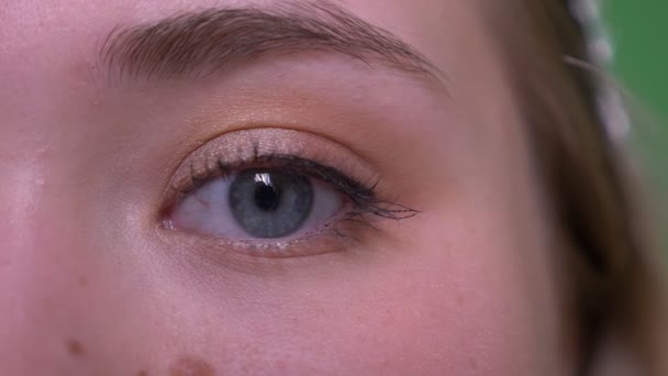 Closeup metade tiro rosto de jovem atraente rosto feminino caucasiano com olhos olhando para a câmera — Vídeo de Stock