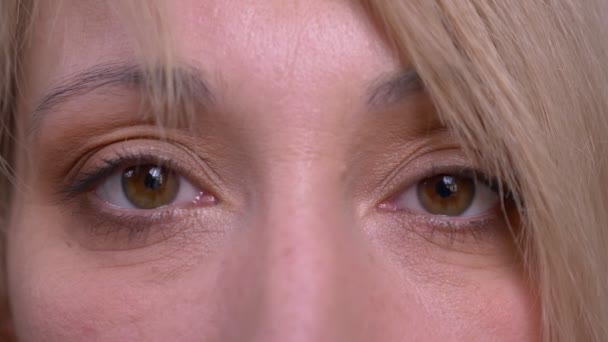 Portrait des yeux de blonde d'âge moyen modèles à poils courts montres calmement dans la caméra isolé sur fond vert . — Video