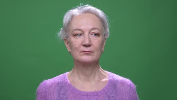 Senior Gray haired kvinna i violett tröja klockor lugnt i kameran isolerad på grön Chromakey bakgrund. — Stockvideo