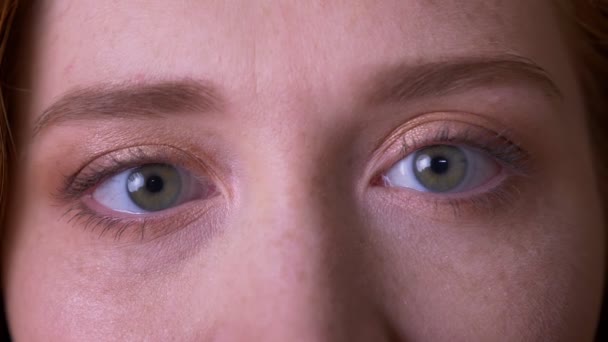 Retrato de close-up da jovem ruiva atraente rosto feminino caucasiano com olhos olhando para a câmera com expressão facial sorridente na biblioteca da faculdade — Vídeo de Stock