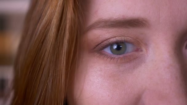 Närbild Half Face porträtt av unga Redhead attraktiva kaukasiska kvinna med ögon tittar på kamera med leende uttryck i kollegiet biblioteket — Stockvideo