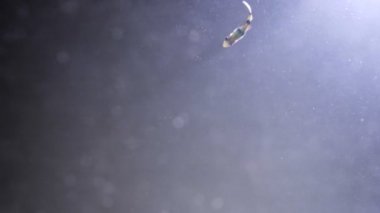 Çamurlu suda yüzen ve plastik şişe fırlatılan balıkların yakın çekim çekimleri. Okyanus kirliliğinin çevre sorunu