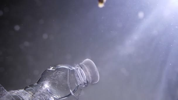 Tiro de perto de peixes nadando em uma água enlameada com uma garrafa de plástico flutuando no oceano. O problema global da poluição marítima — Vídeo de Stock