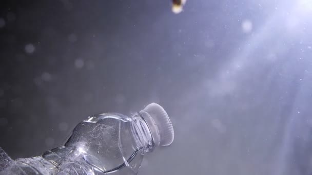 Nahaufnahme von Fischen, die in einem schlammigen Wasser schwimmen und eine Plastikflasche im Ozean treiben. das globale Problem der Meeresverschmutzung — Stockvideo