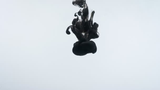 Съемка крупным планом черно-акварельной капли акварели, вращающейся в воде — стоковое видео