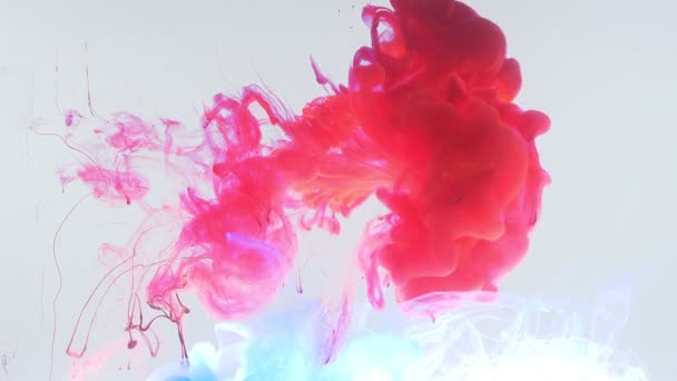 Closeup bottom up motion shoot of blue and pink watercolor ink splashing and mixing in a water — Stock Video