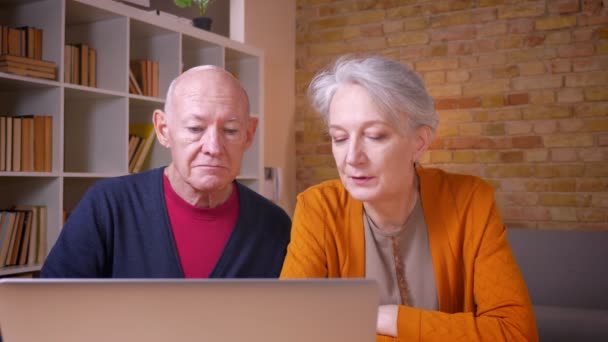 Senior gris de pelo caucásico pareja comentando sobre el contenido en el ordenador portátil en la oficina . — Vídeos de Stock