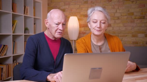 Senior grijs harige Kaukasisch stel bespreekt vreugdevol inhoud in de laptop in Office. — Stockvideo