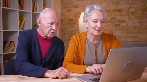 Dos altos colegas caucásicos de pelo gris trabajando junto con el ordenador portátil que está alegre en la oficina . — Vídeos de Stock