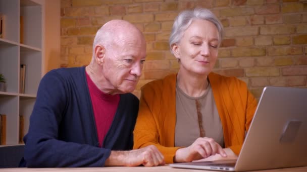 Dois cônjuges caucasianos seniores progressistas de cabelos grisalhos assistindo em laptop fazendo uma escolha no escritório . — Vídeo de Stock