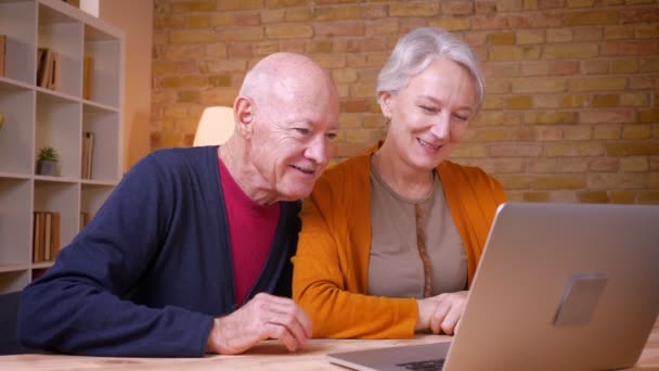 Dos viejos colegas caucásicos de pelo gris que tienen un videocall en el ordenador portátil siendo alegres y felices en la oficina . — Vídeos de Stock