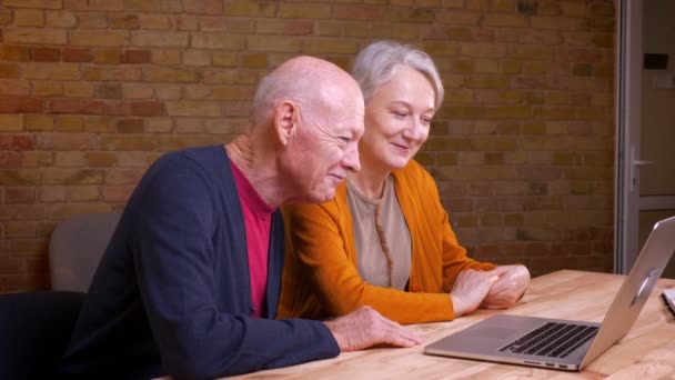 Profile portrait of two senior gray-haired caucasian colleagues having videocall on laptop being glad and friendly in office. — Stock Video