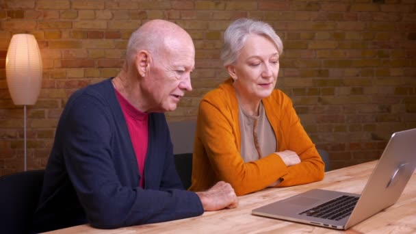 Perfil retrato de dois idosos de cabelos grisalhos cônjuges caucasianos falar em videochat no laptop ser feliz no escritório . — Vídeo de Stock