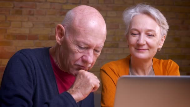 Retrato de close-up de dois cônjuges caucasianos de cabelos grisalhos seniores conversando em videochat no laptop que está encantado no escritório . — Vídeo de Stock