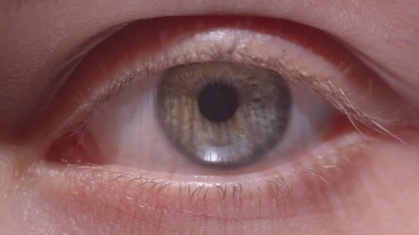 Brote de primer plano de ensanchamiento de ojos verdosos y encogimiento rápido de la pupila . — Vídeos de Stock