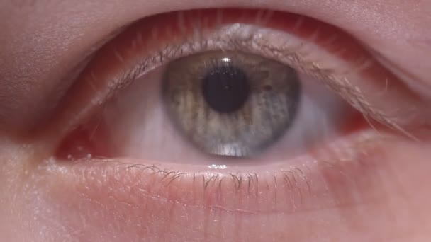 Close-up shoot of greenish eye blinking and moving the pupil sidewards exploring the surroundings. — Stock Video