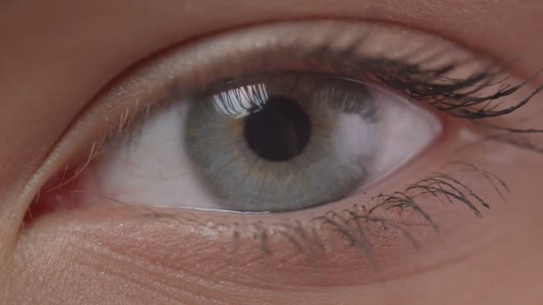 Sesión de primer plano de ojo azul parpadeando con el reflejo del fotógrafo con la cámara en ella . — Vídeo de stock