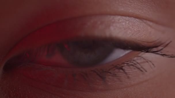 Close-up tiro de luz-azul olho piscando com reflexão de lâmpada sobre ele em luz vermelha . — Vídeo de Stock