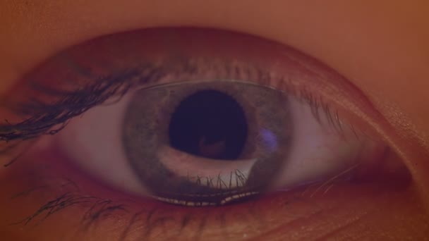 Nahaufnahme eines grauen Auges mit Reflexion einer blauen Lampe, die in die Kamera schaut. — Stockvideo