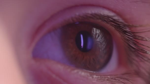 Крупный план l глаз, смотрящий направо с отражением фиолетовой лампы в нем . — стоковое видео