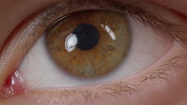 Nahaufnahme einer kaukasischen Person mit braunen Augen, die überall chaotisch nervös und ängstlich beobachtet. — Stockvideo