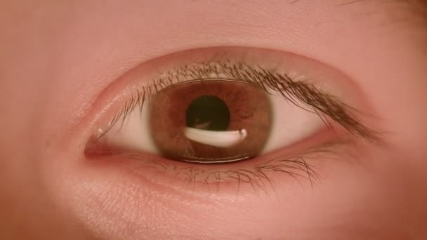 Primer plano de brote de caucásico ojo marrón humano encogiendo y ensanchando la pupila en la luz oscura . — Vídeos de Stock