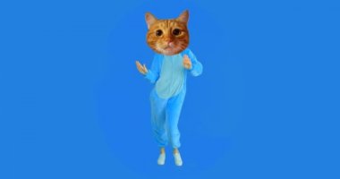 Açık mavi izole arka plan ile kedi kafası ve kostüm dans ile komik kız Closeup ateş
