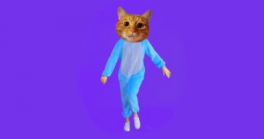 Kedi kafası ve mor izole arka plan ile kostüm dans ile sevimli kız Closeup ateş