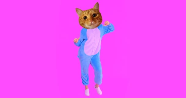 Closeup shoot of funny girl with cat head and costume dancing with the background isolated on violet — Stock Video