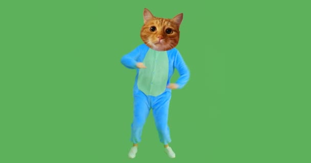 Closeup shoot of funny girl with cat head and costume dancing with the background isolated on green Royalty Free Stock Footage