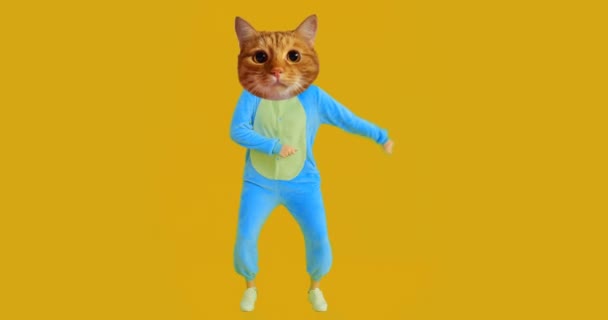 Closeup shoot of funny girl with cat head and costume dancing with the background isolated on yellow — Stock Video