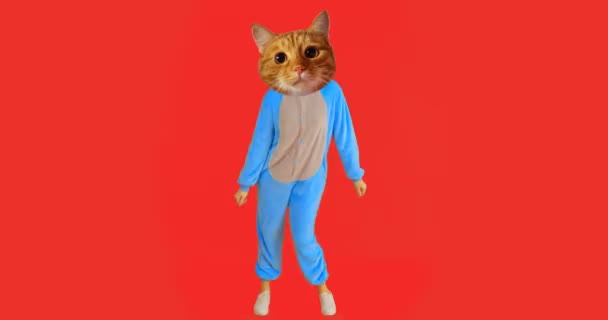 Primer plano de brote de chica adorable con cabeza de gato y baile de disfraces con el fondo aislado en rojo — Vídeo de stock