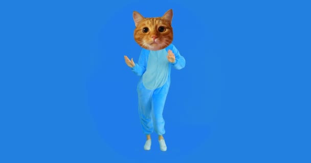 Closeup shoot of funny girl with cat head and costume dancing with the background isolated on light blue — Stock Video