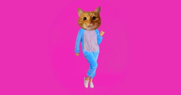 Närbild shoot av rolig tjej med katt huvud och kostym dansa med bakgrunden isolerade på rosa — Stockvideo