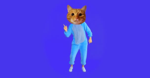 Primer plano de brote de chica adorable con cabeza de gato y baile de disfraces con el fondo aislado en azul — Vídeo de stock