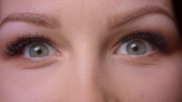 Primo piano ritratto di insegnante bionda dai capelli ondulati caucasici che rotola gli occhi guardando fisso nella fotocamera in biblioteca . — Video Stock