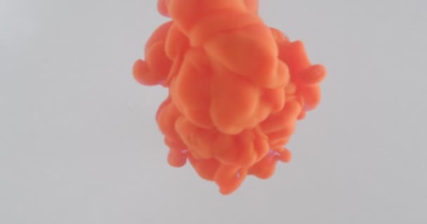 赤い水彩インクのスプラッシュと液体の中に落ちるクローズアップ撮影 — ストック動画