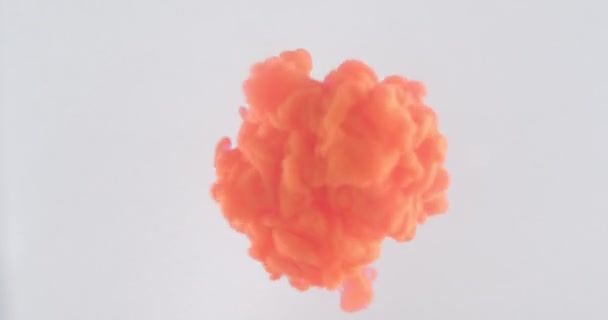 Nahaufnahme Shooting roter Aquarelltinte, die in eine Flüssigkeit spritzt und fällt, mit einem auf Weiß isolierten Hintergrund — Stockvideo