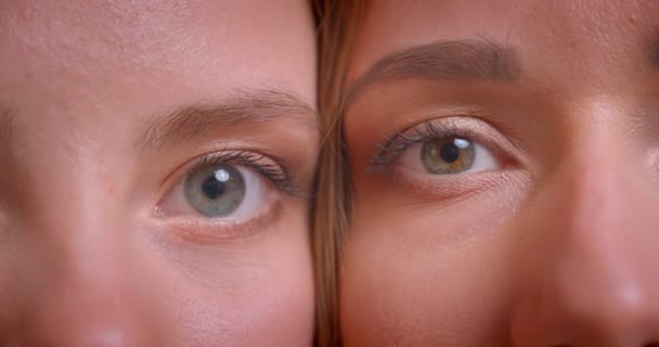 Närbild halva Face shoot av unga vackra lesbiska par leende glatt tittar på kameran tillsammans — Stockvideo