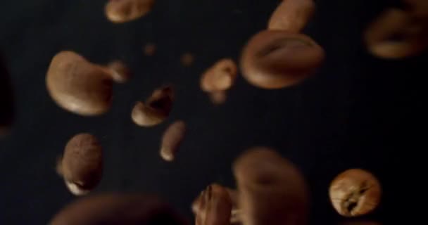 Closeup macro shoot de grãos de café gourmet em detalhe sendo descartado com fundo isolado em preto — Vídeo de Stock