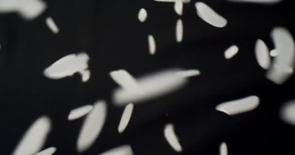 Gros plan tige de riz blanc en détail étant laissé tomber avec fond isolé sur noir 