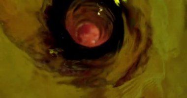 Serinletici hafif bira Closeup makro üst ateş cam köpük ile dökülen ediliyor